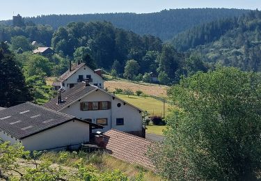Tour Wandern Wangenburg-Engenthal - Wangenbourg Schneeberg - Photo