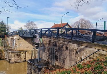 Excursión Senderismo Vaires-sur-Marne - Boucle Vaires sur Marne / Noisiel / Chelles - Photo