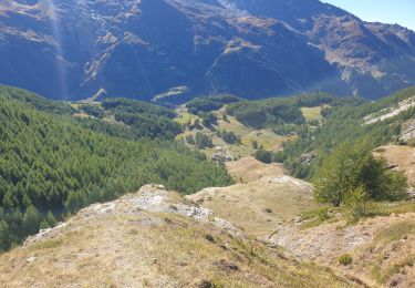 Tour Mountainbike Sainte-Foy-Tarentaise - monal - Photo