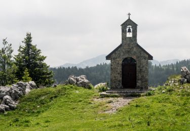 Tour Zu Fuß  - Trag čovika - Photo