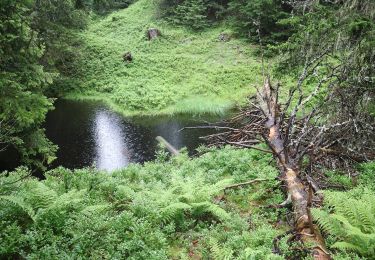 Tour Zu Fuß Rauris - Knappenweg Kolm/Saigurn - Photo