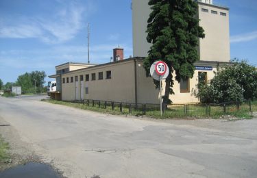 Tocht Te voet Gemeinde Guntramsdorf - Salomon Runde (Guntramsdorf) - Photo