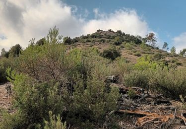 Trail Walking Le Val - circuit des chapelles-le Val-07-09-22 - Photo