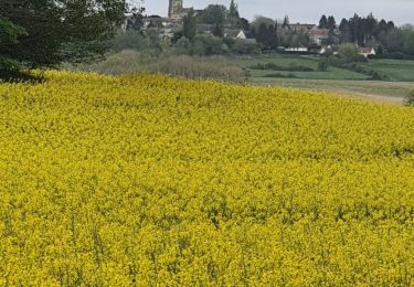 Trail Walking Serans - Montagny en vexin - Photo