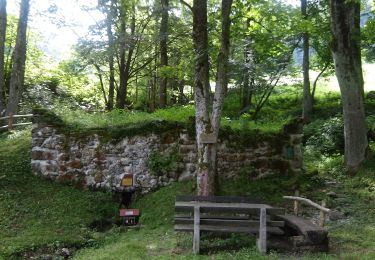 Tocht Te voet Gemeinde St. Georgen an der Leys - Melkursprung (St. Georgen an der Leys) - Photo