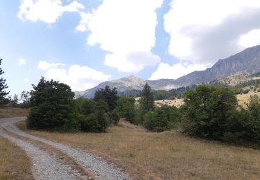 Trail Walking Chorges - au dessus de Chorges : Naume Raze . les Drayes . parking des Gardes . Forest Barthiers . Naume Raze - Photo