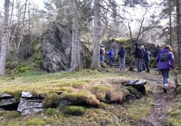 Tocht Stappen Gouvy - baclain - Photo