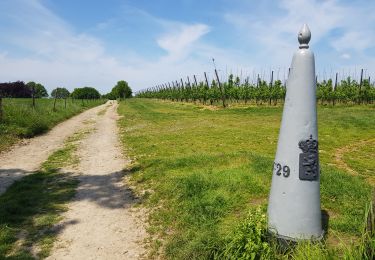 Trail Walking Eijsden-Margraten - 2022-10-23_14h53m39_eijsden-margraten-e9-mesch--moerslag--mesch - Photo