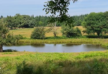 Tocht Stappen Veyrac - peury - Photo