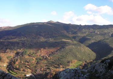 Tour Zu Fuß Folgosinho - Rota dos Galhardos - Photo