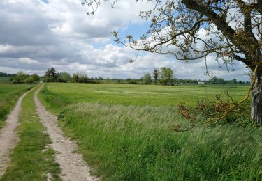 Randonnée Marche Fondettes - Fondettes - Sentier Aubrière-Gâtine - 9.6km 110m 2h00 - 2019 05 05 - Photo