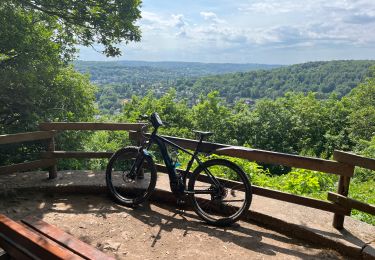 Trail Electric bike Esneux - Vtt elec ravel et bois esneux tilff - Photo