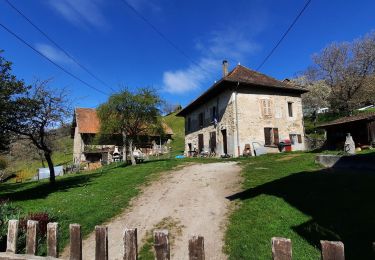 Trail Walking Saint-Jean-le-Vieux - St-Jean-le-Vieux Revel - Photo