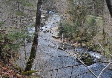 Tocht Stappen Conte - source de l'Ain - Photo