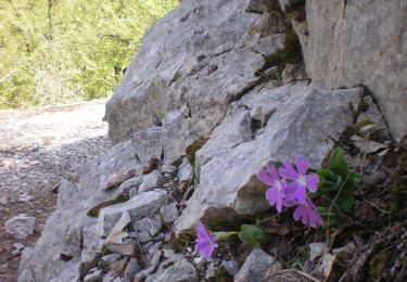 Tour Zu Fuß  - Bunovac - Čičina dolina - Photo