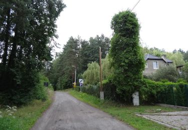 Tour Zu Fuß Unbekannt - Smukalska Ścieżka Spacerowa - Photo