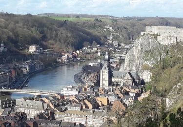 Excursión Senderismo Dinant - Meuse: Anseremme-Yvoir - Photo