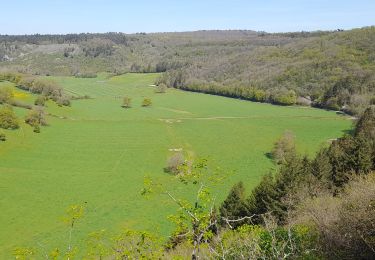 Randonnée Marche Rochefort - wavreille  ail des ours ac 3 - Photo