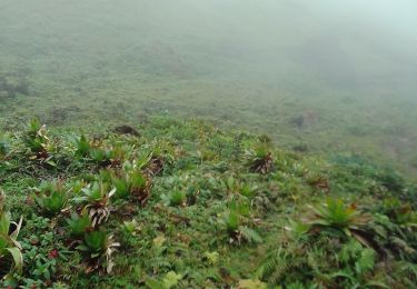 Percorso Marcia Saint-Claude - la Soufrière  - Photo