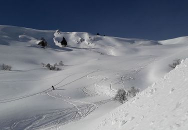 Tocht Sneeuwschoenen Bourg-d'Oueil - Pierrefitte col - Photo