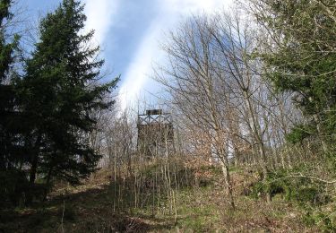 Tour Zu Fuß Srnín - Naučná stezka Granátník - Photo