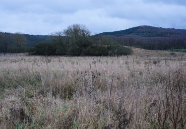 Randonnée A pied Sulzfeld - Biergartenwanderweg - Photo