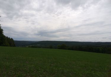 Trail Walking Ferrières - werbomont  - Photo