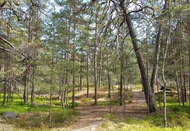 Randonnée A pied  - Värmdöleden - Photo