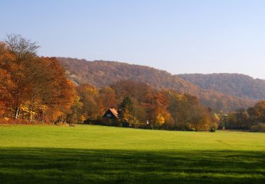 Tocht Te voet Sternenfels - Stromberg-Route 3 Walk & Wein Krauchgau-Stromberg - Photo