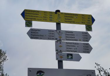 Percorso A piedi Kappelrodeck - Ortenauer Weinschleife - Badens schönste Weinsicht - Photo