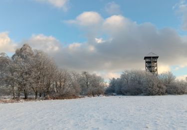 Randonnée Marche Spa - berinzenne entre forêt et fagne  - Photo