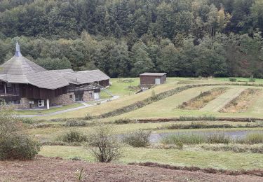 Tour Wandern Durbuy - oppagne ac - Photo
