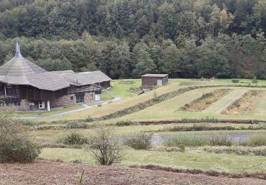 Randonnée Marche Durbuy - oppagne ac - Photo