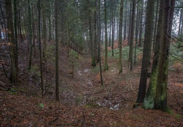 Excursión A pie Lauterhofen - Jurasteig Wallfahrer-Schlaufe - Photo