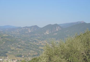 Trail Walking Mirabel-aux-Baronnies - XX-Le Plateau des Cailles - Photo