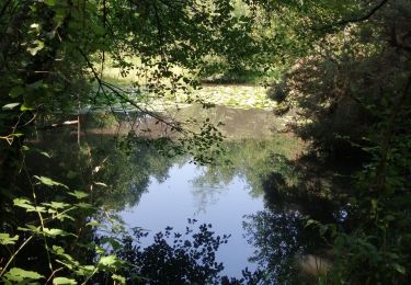 Trail Walking Herbignac - Le château de Ranrouet - Photo