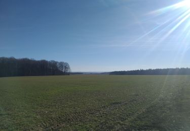 Randonnée V.T.T. Saint-Clément - vtt chanteheux fraimbois vathi 24.02.19 - Photo