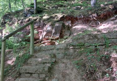 Tour Wandern Oberbronn - Oberbronn Château de Wasenberg - Photo