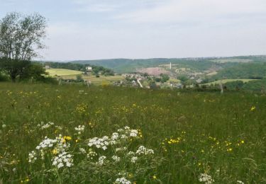 Tocht Te voet Trooz - Les hauteurs de Fraipont (Trooz) - Photo