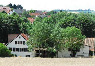 Trail On foot Appenheim - Appenheim: Panoramaweg - Photo