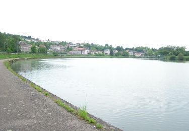 Tocht Te voet Contz-les-Bains - Schengen grenzenlos / sans frontières - Photo