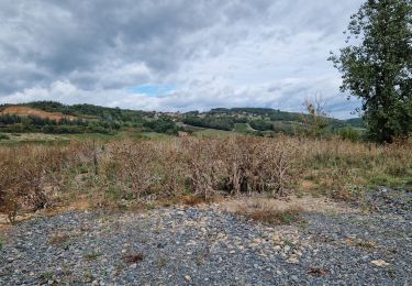 Percorso Marcia Saint-Jean-des-Vignes - Pierres-Dorées_Saint-Jean-Des-Vignes=>Charnay - Photo