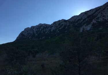 Tour Wandern Mas-de-Londres - tour du Pic St Loup  - Photo