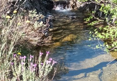 Trail Walking Roquebrune-sur-Argens - Rando Galieni Lou-ann  - Photo