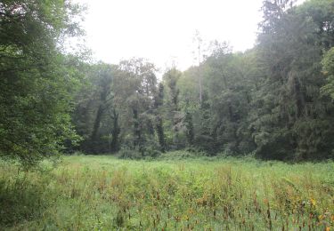 Percorso A piedi Saarbrücken - Rundweg Historischer Halberg - Photo