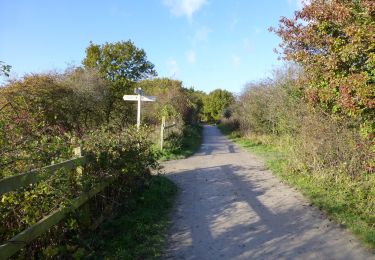 Percorso A piedi Wirral - Parkgate Walk - Photo