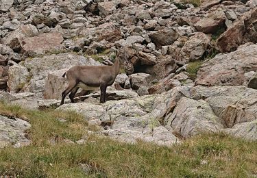 Excursión Senderismo Belvédère - lac de la fous - Photo