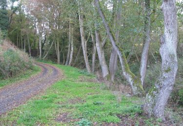 Tocht Te voet Kaufungen - Niederkaufungen, Rundweg 29 - Photo