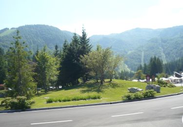 Tocht Te voet Aviano - Giro delle Malghe Piancavallo - Photo