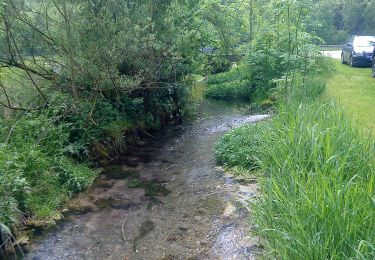 Tocht Te voet Kinding - Maierfeldweg - Photo